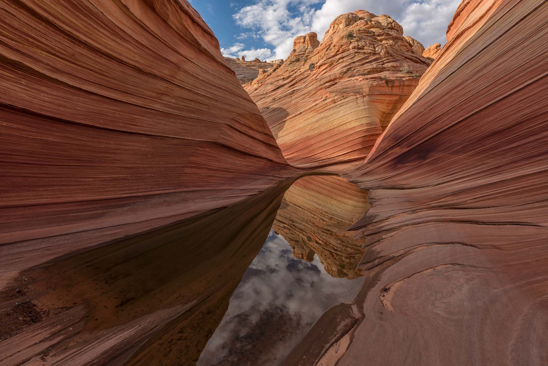 Water pool at The Wave in Coyote Buttes North, Arizona