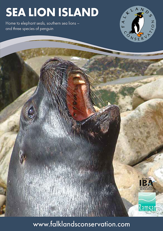 Brochure about Sea Lion Island in the Falkland Islands