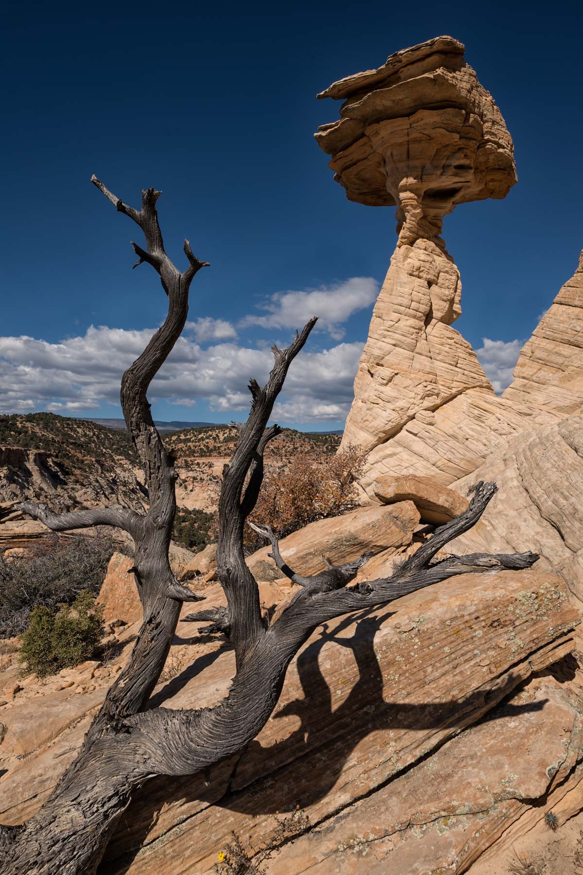 Balancing Rock Hoodoo near Boulder, Utah