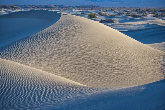 Mesquite Dunes 22 Mesquite Dunes in Death Valley National Park, California