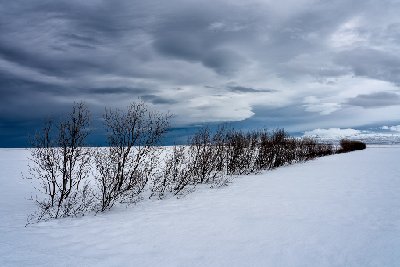Iclandic Winter Scene