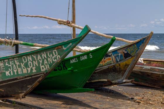 Dhows on the shore of Lake Victoria A 