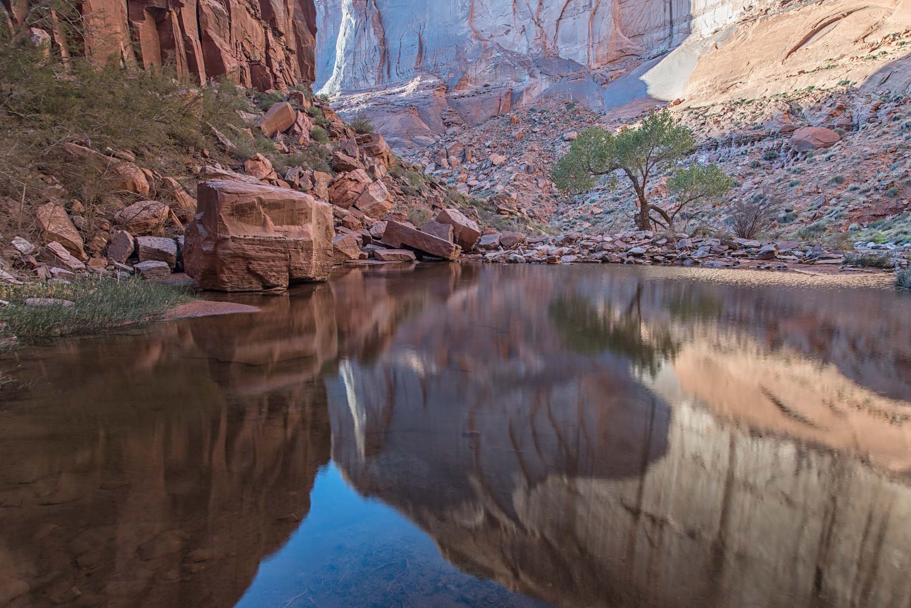 Reflection in Pool Canyon