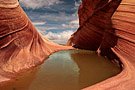 Wave Water
