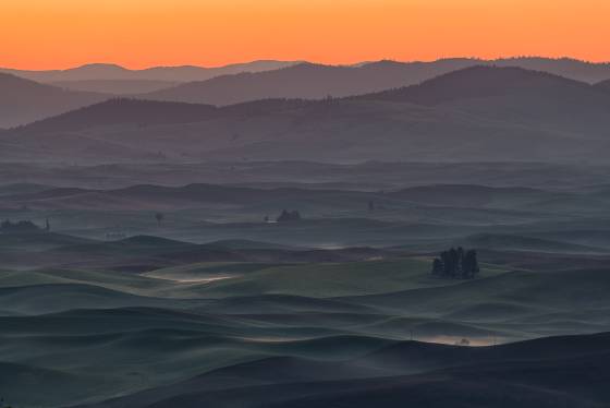 Steptoe Butte Sunrise The view at sunrise from Steptoe Butte in the Palouse.