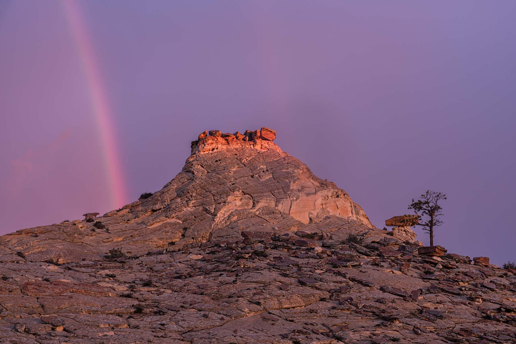 Soap Creek Tank and Rainbow in Vermilion Cliffs National Monument