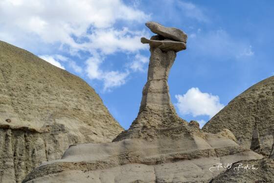 Laughing Hoodoo Hoodoo in Ah-Shi-Sle-Pah wash, New Mexico.
