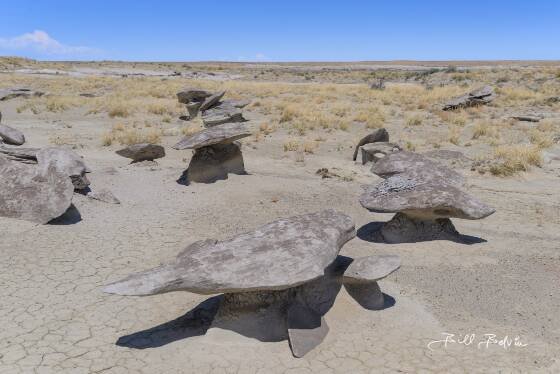 Platypus Rock Platypus shaped hoodoo in the Ah-Shi-Sle-Pah Wilderness, New Mexico.