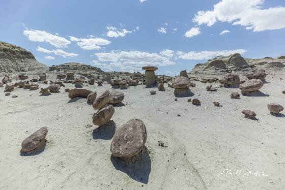 Rock Garden 2 Hoodoos in the Ah-Sli-She-Pah Wilderness Area, New Mexico
