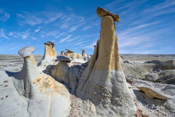 Yellow Hoodoo Gang 1 Yellow Hoodoos in the Ah-Shi-Sle-Pah Wilderness, New Mexico.