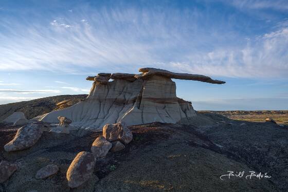 Edge Light on The King of WIngs The King of Wings in Ah-Shi-Sle-Pah Wash, New Mexico