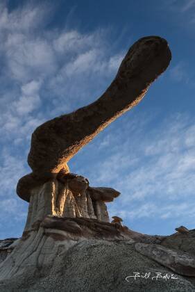 Sunrise closeup The King of Wings in Ah-Shi-Sle-Pah Wash, New Mexico