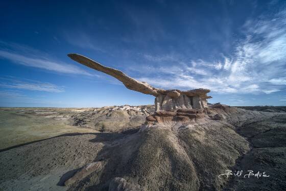 Ultrawide image of The King of Wings The King of Wings in Ah-Shi-Sle-Pah Wash, New Mexico