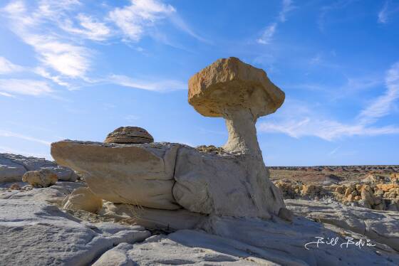 Mushroom Seat Mushroom shaped hoodoo in Ah-Shi-Sle-Pah wash, New Mexico.