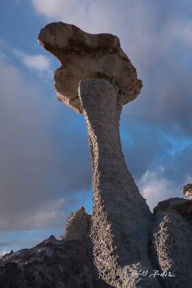 Stretching for a view Hoodoo in Valley of Dreams East, Ah-Shi-Sle-Pah Wash, New Mexico