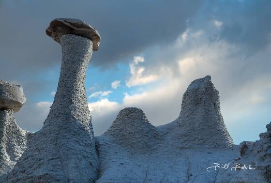 The Camel Hoodoo in Valley of Dreams East, Ah-Shi-Sle-Pah Wash, New Mexico