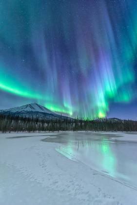 Dietrich River 12 The aurora over the Dietrich River in Northern Alaska.