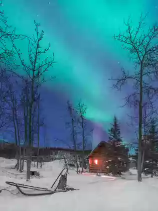 Aurora Dog Sled and Cabin The aurora over a cabin in Wiseman, Alaska with a dogsled in the foreground.