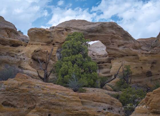Crow Canyon Arch Drone's eye view of Crow Canyon Arch near Aztec, New Mexico. Slope near the arch is 32 degrees.