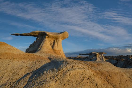 Bisti Wings 4 The Bisti Wings in the Bisti Badlands, New Mexico