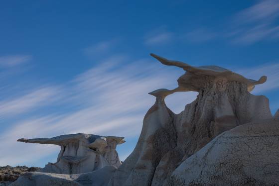 Sea Turtle The Bisti Wings in the Bisti Badlands, New Mexico