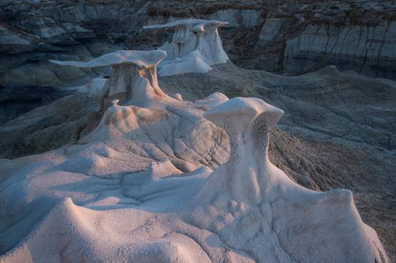 Stone Sculpture The Bisti Wings in the Bisti Badlands, New Mexico