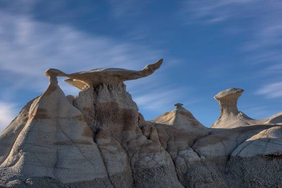 The Seal The Bisti Wings in the Bisti Badlands, New Mexico