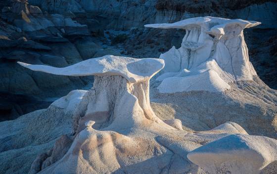 Wings of Stone The Bisti Wings in the Bisti Badlands, New Mexico