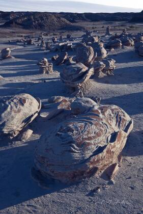 The Bug 4 The Cracked Eggs in the Bisti Badlands, New Mexico