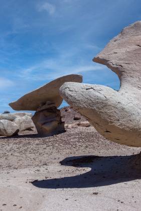 Sea Monster Rock Formation in Alamo Wash, part of the Bisti Badlands in New Mexico