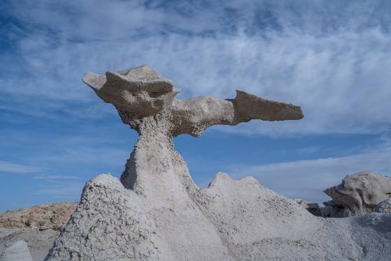 Dodo Bird Hoodoo 1 Dodo (aka Doo Doo) Bird Hoodoo in Hunter Wash in the Bisti Badlands