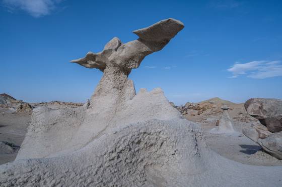 Dodo Bird Hoodoo 2 Dodo (aka Doo Doo) Bird Hoodoo in Hunter Wash in the Bisti Badlands