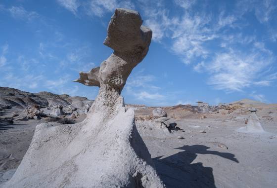 Dodo Bird Hoodoo and Shadow 2 Dodo (aka Doo Doo) Bird Hoodoo in Hunter Wash in the Bisti Badlands