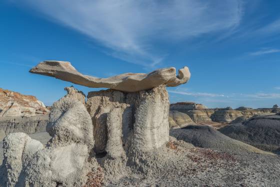 Manta Ray 1 Rock Formation near Hunter Wash, part of the Bisti Badlands in New Mexico