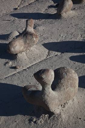 Duck and a half Unusual shaped Rock in Alamo Wash, part of the Bisti Badlands in New Mexico