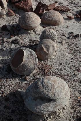 Eggs Unusual shaped Rock in Alamo Wash, part of the Bisti Badlands in New Mexico