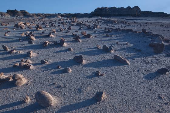 Rock Garden 5 Unusual shaped Rock in Alamo Wash, part of the Bisti Badlands in New Mexico