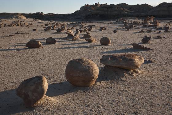 Rock Garden 6 Unusual shaped Rock in Alamo Wash, part of the Bisti Badlands in New Mexico