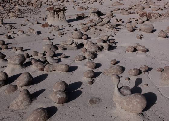 Rock Garden 7 Unusual shaped Rock in Alamo Wash, part of the Bisti Badlands in New Mexico