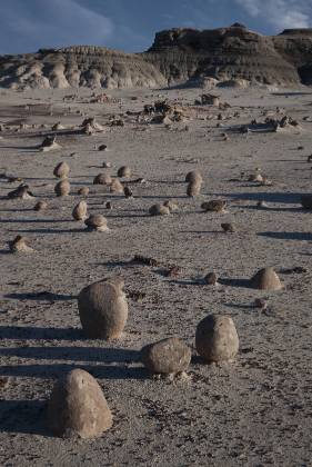 Rock Garden 9 Unusual shaped Rock in Alamo Wash, part of the Bisti Badlands in New Mexico