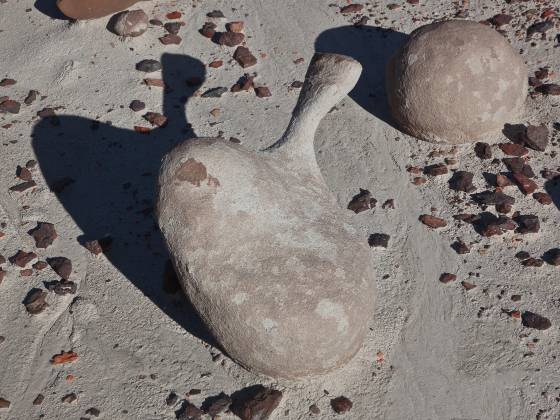 Turkey 2 Unusual shaped Rock in Alamo Wash, part of the Bisti Badlands in New Mexico