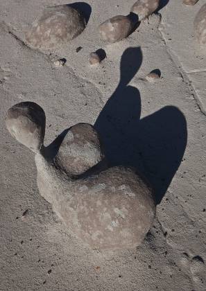 Well Endowed with shadow Unusual shaped Rock in Alamo Wash, part of the Bisti Badlands in New Mexico