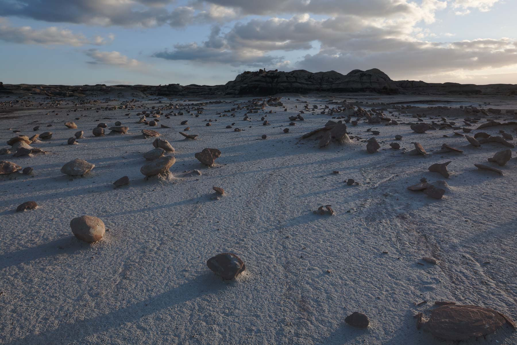 The Rock Garden, an area of unusually shaped rocks in the Bisti Badlands