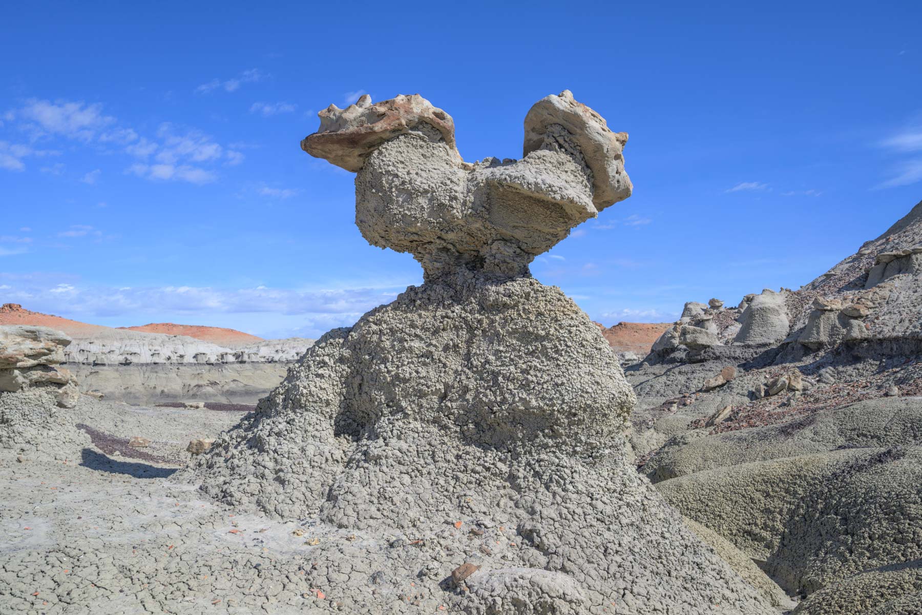 Two-Headed Hoodoo in the Bisti/ De-Na-Zin Wilderness