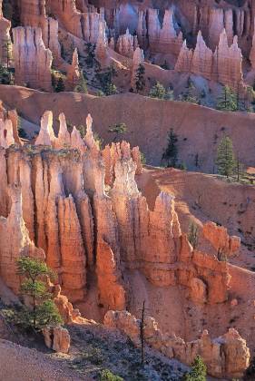 Bryce Canyon 26 Hoodoos in Bryce Canyon National Park, Utah