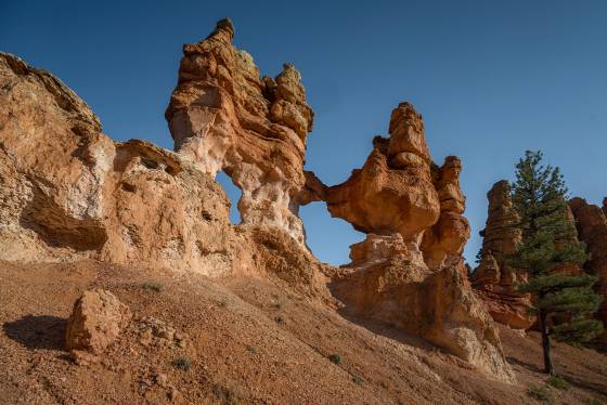 Turret Arch 3 Turret Arch at sunrise. Turret Arch is near Tropic Ditch Falls and Mossy Cave in Bryce Canyon National Park