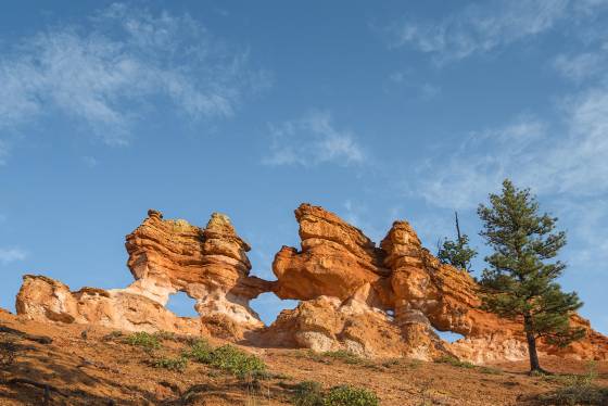 Turret Arch from below Turret Arch at sunrise. Turret Arch is near Tropic Ditch Falls and Mossy Cave in Bryce Canyon National Park