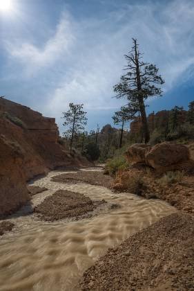 Stream in Water Canyon Stream in Water Canyon in Bryce Canyon National Park