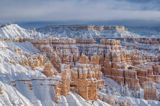 Bryce Canyon in Snow 4 The view from Sunset Point in Bryce Canyon after a snow fall