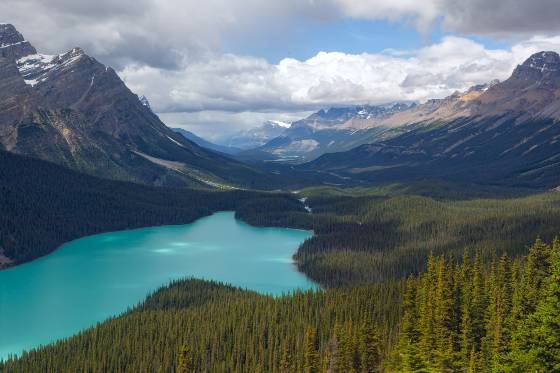 Peyto Lake 1 Peyto Lake in Banff National Park